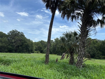 23, Citra, FL, 32113 — photo 2