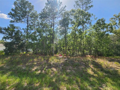 9712 N LOVELL DR, Dunnellon, FL, 34433 — photo 2