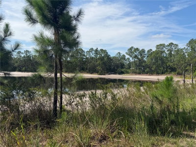 TBD MALAUKA PASS Trail, Ocklawaha, FL, 32179 — photo 2