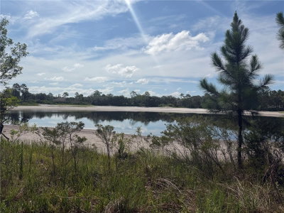 TBD MALAUKA PASS Trail, Ocklawaha, FL, 32179 — photo 2