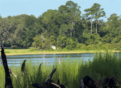 TBD MALAUKA Radial, Ocklawaha, FL, 32179 — photo 2