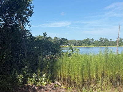 TBD MALAUKA Radial, Ocklawaha, FL, 32179 — photo 2