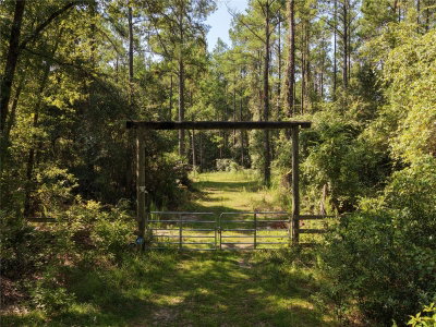 375 BUCK SPRINGS Road, Palatka, FL, 32177 — photo 2