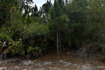TBD SIMCA Lane, North Port, FL, 34291 — photo 2