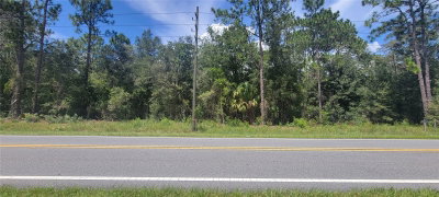 7481 DUNNELLON Road, Dunnellon, FL, 34433 — photo 2