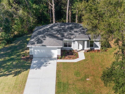 10070 192ND Circle, Dunnellon, FL, 34432 — photo 2