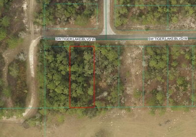 TIGER LAKE Boulevard, Dunnellon, FL, 34432 — photo 2