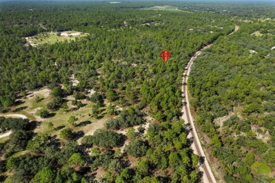 10806 STATUE Point, Dunnellon, FL, 34433 — photo 2