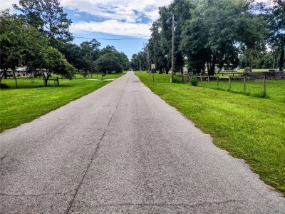 TBD HIGHWAY 27 ALT, Williston, FL, 32696 — photo 2