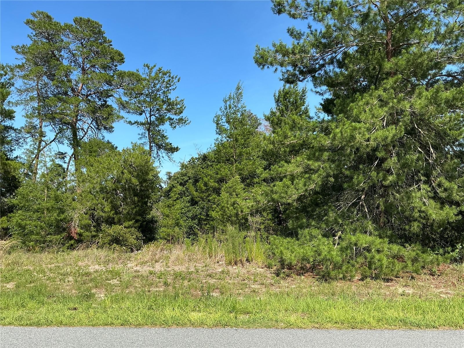 12995 35TH AVENUE Road, Ocala, FL, 34473