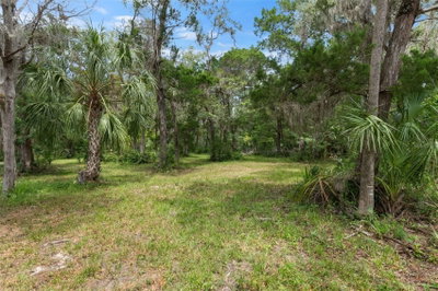 6929 HAULOVER Point, Homosassa, FL, 34448 — photo 2
