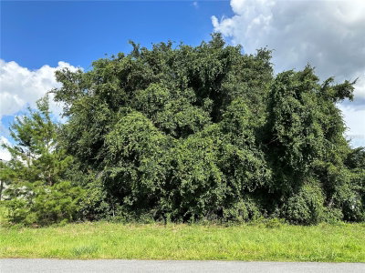 000 SW 128TH Place, Ocala, FL, 34473 — photo 2