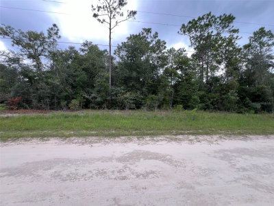 TBD 167TH Avenue, Ocala, FL, 34481 — photo 2