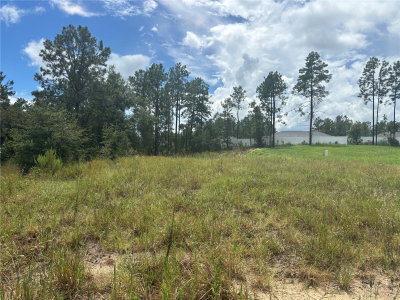 12828 86 Circle, Ocala, FL, 34473 — photo 2