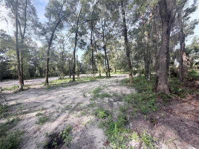 150TH, Dunnellon, FL, 34432 — photo 2