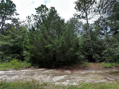 0000 155TH Court, Williston, FL, 32696 — photo 2