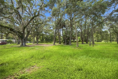 14200 165TH Street, Fort Mc Coy, FL, 32134 — photo 2