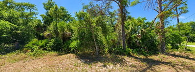 DRAGON Street, North Port, FL, 34288 — photo 2