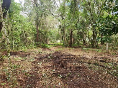 11148 SHORE Drive, Lake Wales, FL, 33898 — photo 2