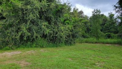 6641 WYNN Lane, Groveland, FL, 34736 — photo 2