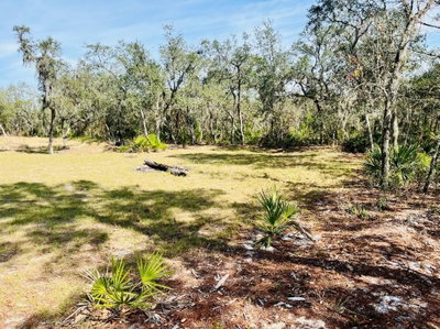 DEER Road, Frostproof, FL, 33843 — photo 2