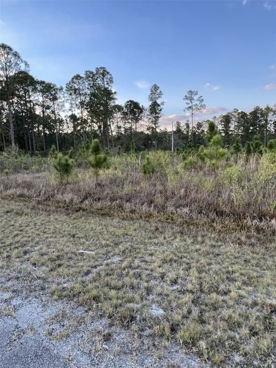 1002 GARDENIA Drive, Lake Wales, FL, 33898 — photo 2