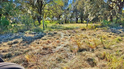 CONROY Lane, Wauchula, FL, 33873 — photo 2