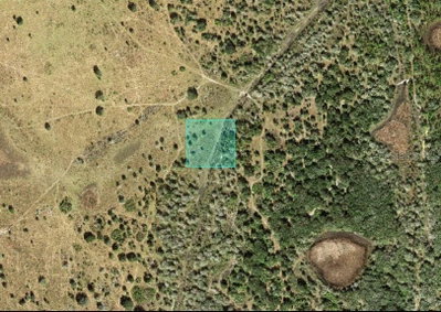 RIVER RANCH, Frostproof, FL, 33843 — photo 2