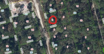213 IMAGINATION Drive, Lake Placid, FL, 33852 — photo 2