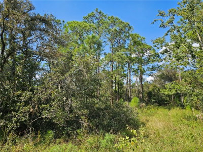 7105 ORCHID Place, Sebring, FL, 33875 — photo 2