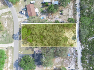 LEMON Drive, Lake Wales, FL, 33898 — photo 2