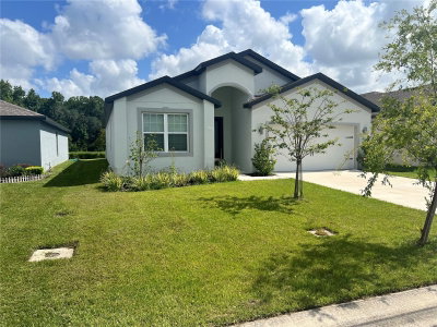 6316 DOLOSTONE Drive, Lakeland, FL, 33811 — photo 2