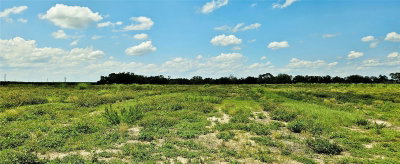 MAMMOTH GROVE ROAD, Lake Wales, FL, 33898 — photo 2
