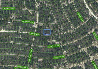 354 CARTIER Avenue, Lake Placid, FL, 33852 — photo 2