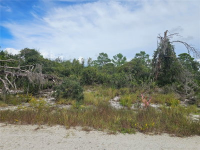 123 PATTON Avenue, Lake Placid, FL, 33852 — photo 2