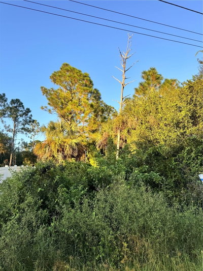 COLORADE Avenue, North Port, FL, 34286 — photo 2