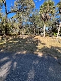 1204 DAVIES Road, Brandon, FL, 33511 — photo 2