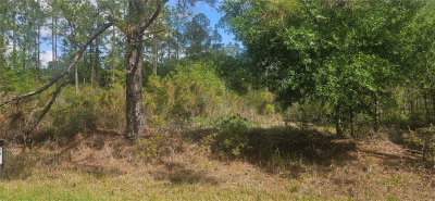 408 PANDORA Drive, Indian Lake Estates, FL, 33855 — photo 2