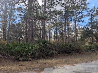 ALLAMANDA Drive, Indian Lake Estates, FL, 33855 — photo 2