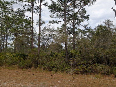 416 BOUGAINVILLE Drive, Indian Lake Estates, FL, 33855 — photo 2
