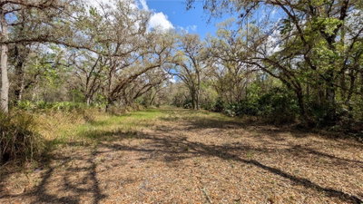 GILLETTE Road, Zolfo Springs, FL, 33890 — photo 2