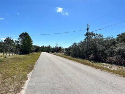 WOODSTORK Way, Frostproof, FL, 33843 — photo 2