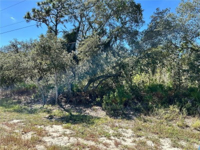 WOODSTORK Way, Frostproof, FL, 33843 — photo 2