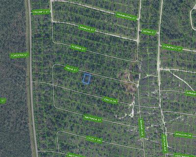 8655 PAVIA Street, Sebring, FL, 33872 — photo 2