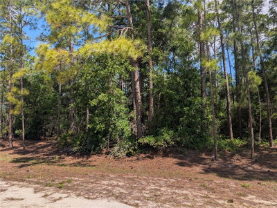 1114 PLUMOSA Drive, Indian Lake Estates, FL, 33855 — photo 2