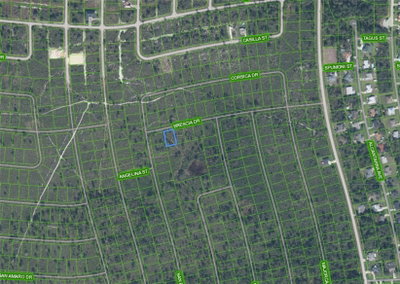 7448 BRESICA Drive, Sebring, FL, 33872 — photo 2