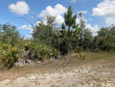 LAKELAND Drive, Indian Lake Estates, FL, 33855 — photo 2