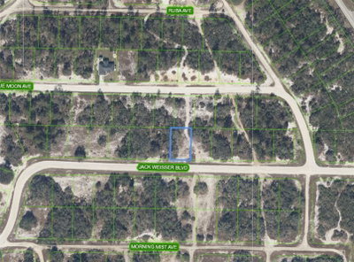 462 JACK WEISSER Boulevard, Lake Placid, FL, 33852 — photo 2