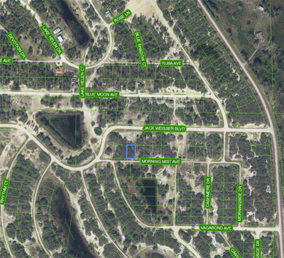 504 MORNING MIST Avenue, Lake Placid, FL, 33852 — photo 2