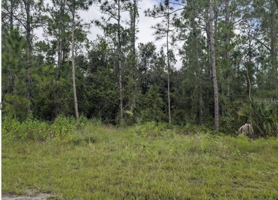 1122 POINCIANA Drive, Indian Lake Estates, FL, 33855 — photo 2